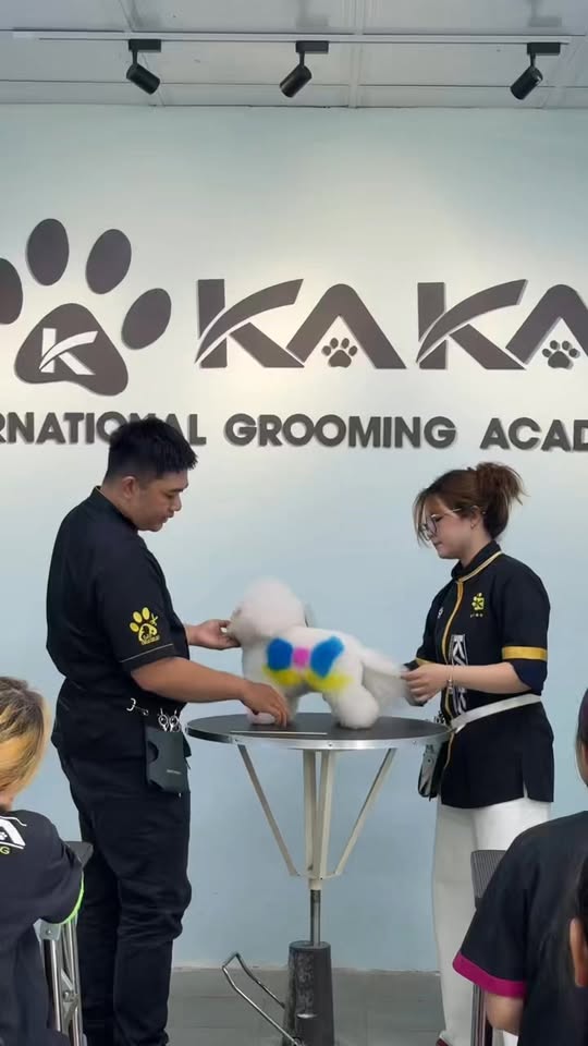 [🆕🇻🇳] KaKa Pet – Dịch Vụ Thú Cưng 🐶🦜 Top1Pets 🐱🐠 HỌC HẾT MÌNH – VUI HẾT CỠ TẠI SEMINAR KAKA ACADEMY! 
Cả nhà ơi, cùng nhìn lại những khoảnh khắc “siêu cháy” trong buổi seminar vừa qua nhé! Không chỉ là lý , shares-0✔️ , likes-4❤️️ , date-2025-12-23 17:05:11🐶🐱🇻🇳🇻🇳🇻🇳📰🆕