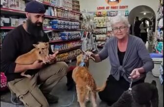 [🆕🇻🇳] ETTI PET STORE – Chăm sóc vật nuôi 🐶🦜 Top1Pets 🐱🐠 Adorable doggies from San Nha Nhieu Cho shelter need forever home 
So much thanks for Mr Ali & Mrs Viola for helping us spreading this news

You can come v , shares-0✔️ , likes-21❤️️ , date-2025-12-19 02:00:02🐶🐱🇻🇳🇻🇳🇻🇳📰🆕