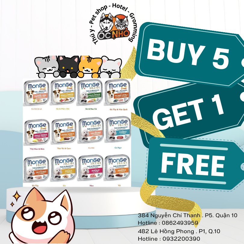 [🆕🇻🇳] Thú Y Ốc Nhỏ – 384 Nguyễn Chí Thanh. Quận 10 🐶🦜 Top1Pets 🐱🐠  Hãy liên hệ cho Ốc Nhỏ – Người bạn đồng hành cùng các bé thú cưng trên chặn đường hạnh phúc
————————————————–
#thuyocnho  , shares-0✔️ , likes-1❤️️ , date-2025-12-19 17:39:22🐶🐱🇻🇳🇻🇳🇻🇳📰🆕