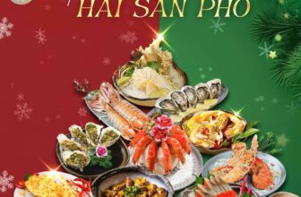 [🆕🇻🇳] Hải Sản Phố – 48 Liễu Giai 🍔 Top1Food 🍜 (English below)
 GIÁNG SINH RỘN RÀNG – ĐẶT BÀN TẠI HẢI SẢN PHỐ

Nếu bạn đang lựa chọn nhà hàng cho dịp lễ hội noel cuối năm đảm bảo các tiêu chí ngon – đẹp , shares-0✔️ , likes-136❤️️ , date-2025-12-17 15:52:29🇻🇳🇻🇳🇻🇳📰🆕