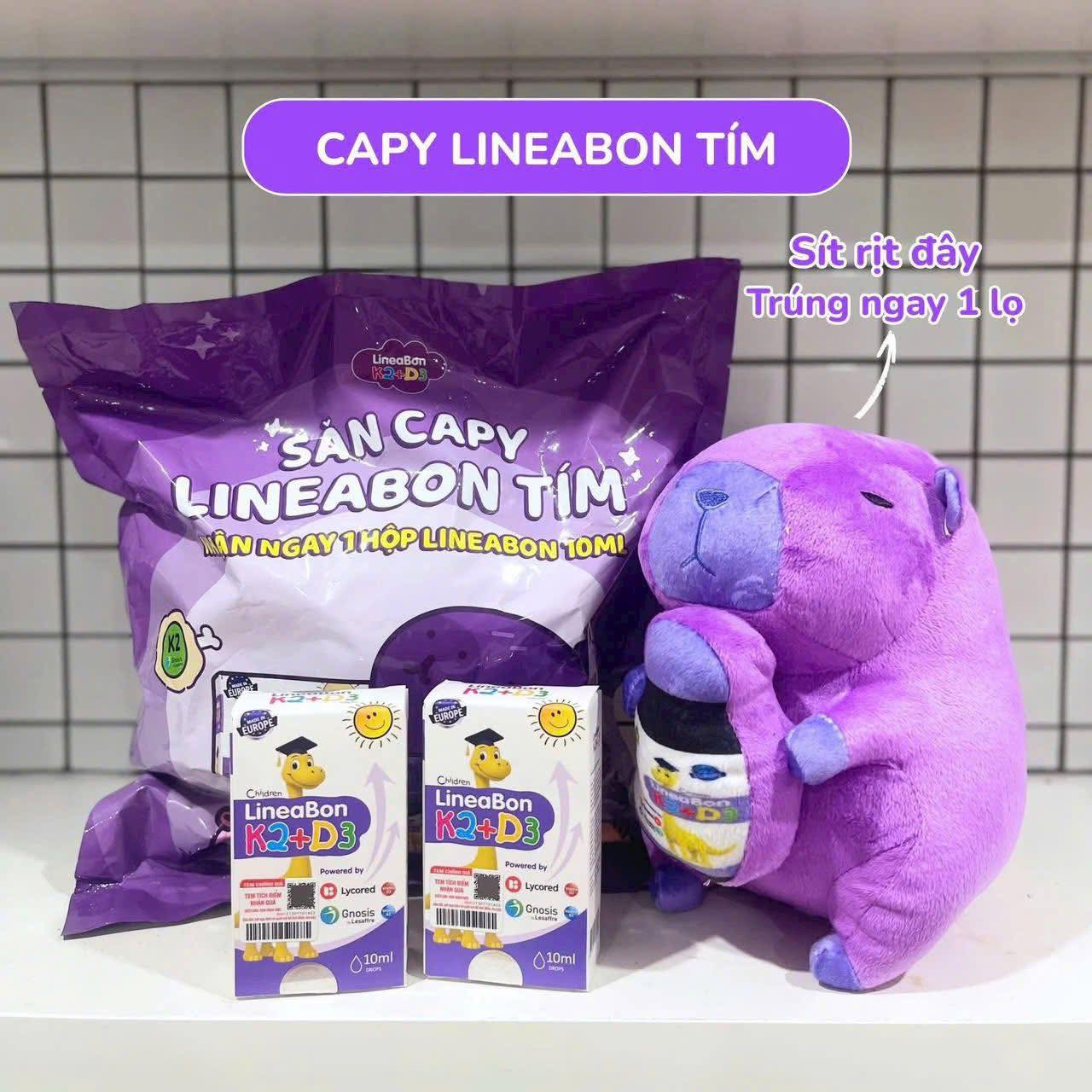 [🆕🇻🇳] Chip Store 51-Đường Nam – 𝙲Ù𝙽𝙶 𝙱É 𝙻Ớ𝙽 𝙺𝙷Ỏ𝙴 ! 🧑‍🧒❤️️👶⭐️  Bé #Capybara siêu to khổng lồ xinh xỉu có 1 bé duy nhất ( Shop tặng 6 hộp linebon hoặc 6 bỉm – 5sữa ( tuỳ hãng ) 
nhận gói quà cho bé iuuu nha .
 , shares-0✔️ , likes-0❤️️ , date-2025-12-22 22:50:13🇻🇳🇻🇳🇻🇳📰🆕