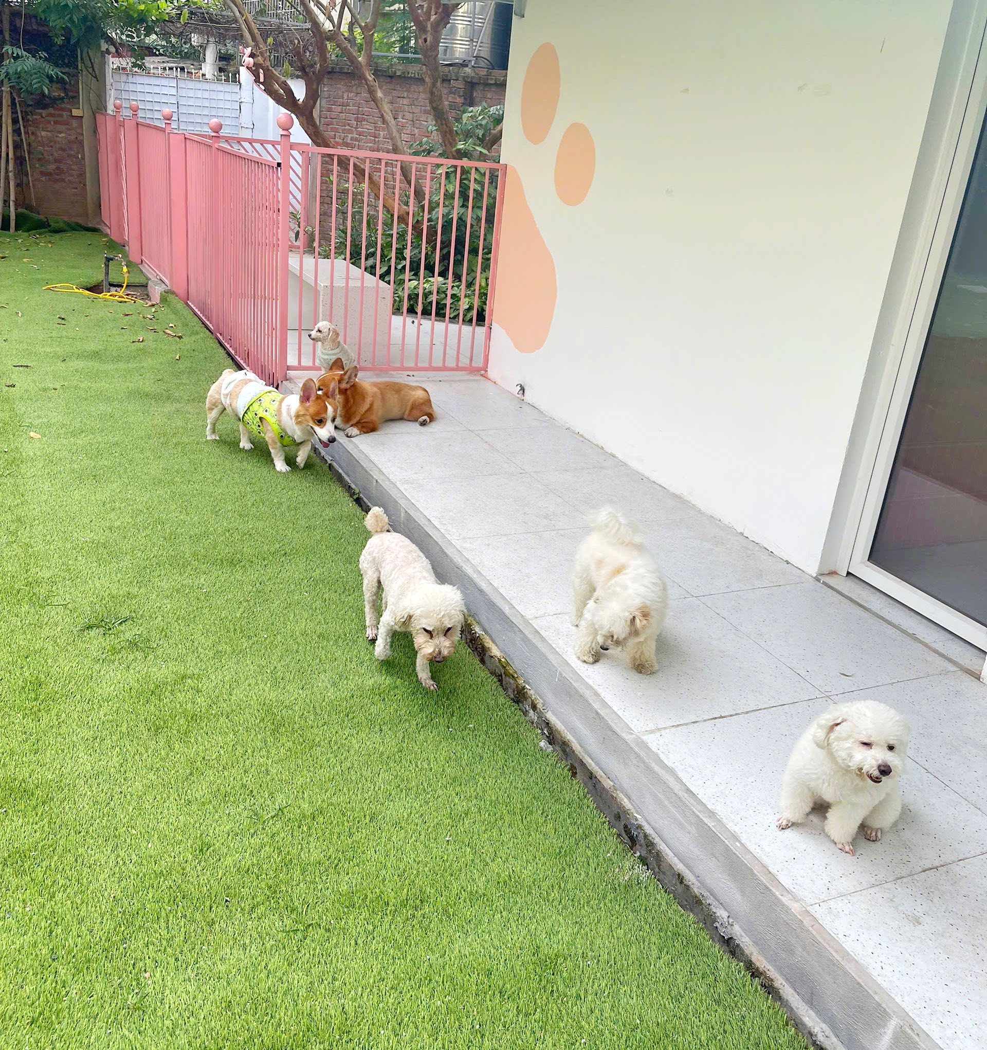 [🆕🇻🇳] Sugar Pie – Spa & Hotel Thú Cưng Cao Cấp 🐶🦜 Top1Pets 🐱🐠 Nắng lên rồi ta ngồi phơi 
—–
SUGAR PIE – Spa & Hotel thú cưng cao cấp
Giờ mở cửa: 9:00 – 18:00
Nhận đón sớm từ 7:00 
(với lịch đón trước 9:00 AM quý kh , shares-0✔️ , likes-5❤️️ , date-2025-12-19 04:02:53🐶🐱🇻🇳🇻🇳🇻🇳📰🆕