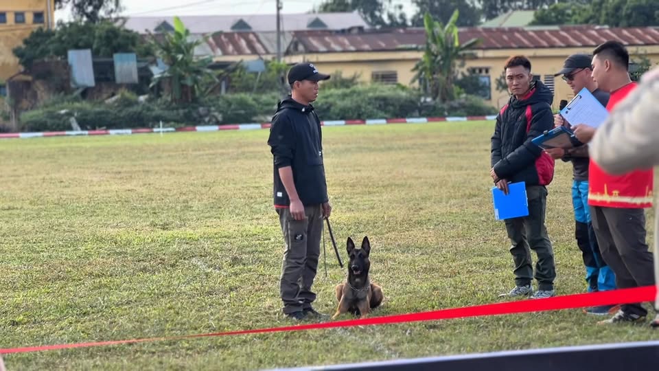 [🆕🇻🇳] CUDDLE PET – 𝐒𝐏𝐀 & 𝐇𝐎𝐓𝐄𝐋 🐶🦜 Top1Pets 🐱🐠 Cùng xem lại full video cặp chủ cún- huấn luyện viên Thi
Vâng Lời (BH – Begleithundprüfung) trong IGP đạt điểm gần như tuyệt đối 59/60 cùng lời khen ngợi x , shares-0✔️ , likes-4❤️️ , date-2025-12-18 02:38:08🐶🐱🇻🇳🇻🇳🇻🇳📰🆕