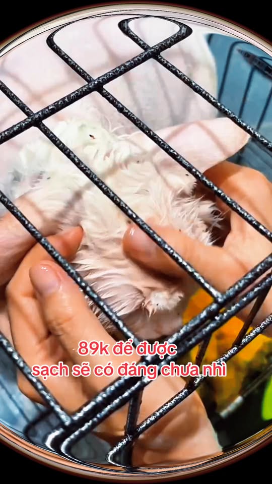 [🆕🇻🇳] TPBank – Ngân hàng TMCP Tiên Phong ♥️️📚  Khách iu gọi, ChatGPT trả lời với deal Giảm tới 200K 

 Thẻ TPBank đang có deal gì HOT tại ChatGPT thế? 
 ChatGPT: giảm 50% tới 200.000đ vào mỗi Thứ 6 từ n , shares-4✔️ , likes-55❤️️ , date-2025-12-20 02:30:05🇻🇳🇻🇳🇻🇳📰🆕