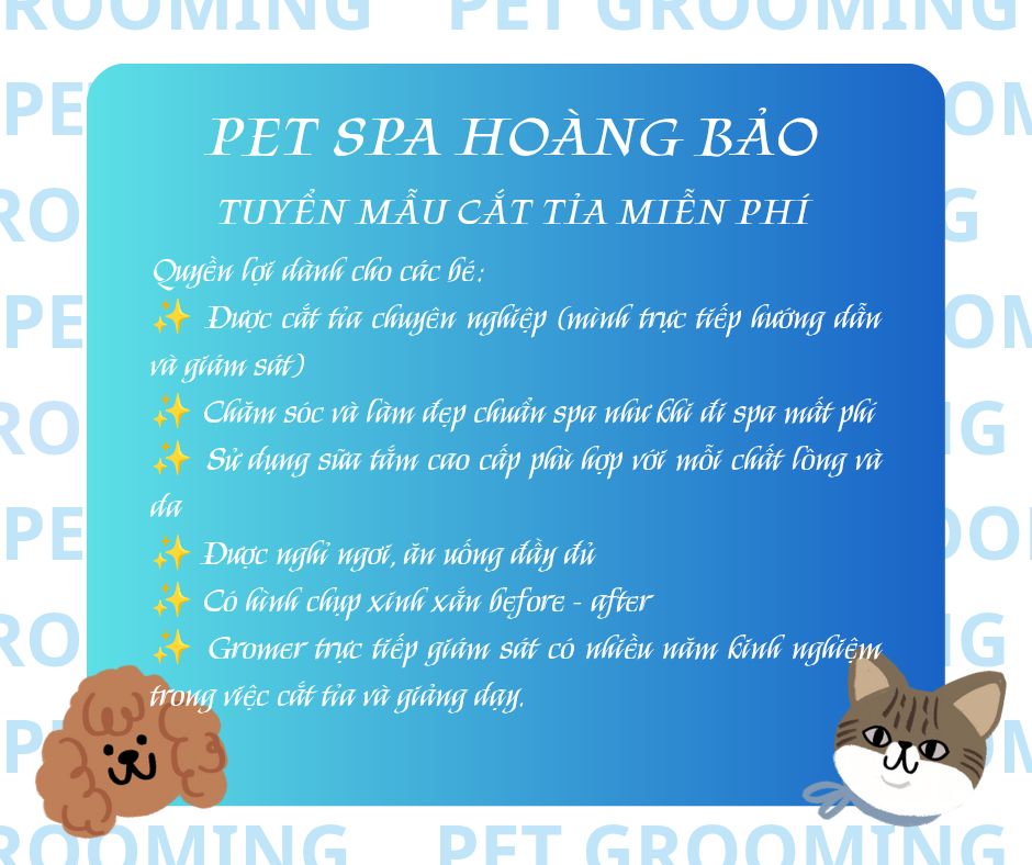 [🆕🇻🇳] Thú Y Hoàng Bảo – Siêu Thị Thú Cưng 🐶🦜 Top1Pets 🐱🐠  TUYỂN MẪU CẮT TỈA MIỄN PHÍ 

Yêu cầu:
 Có phụ thu phí tắm
 Tình trạng lông dài 4cm trở lên
 Lông bé không quá rối (rối dưới 30% gỡ rối miễn phí, trên 30%  , shares-0✔️ , likes-52❤️️ , date-2025-12-23 03:52:28🐶🐱🇻🇳🇻🇳🇻🇳📰🆕