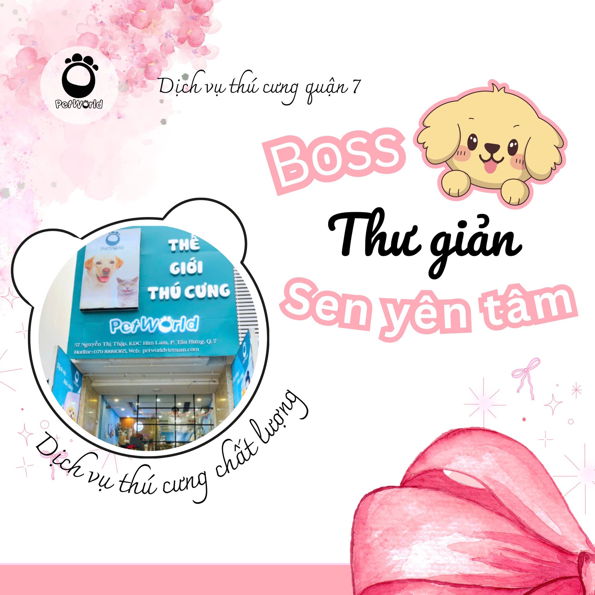 [🆕🇻🇳] Pet World quận 7 – Dịch vụ thú cưng 🐶🦜 Top1Pets 🐱🐠  TẾT DƯƠNG LỊCH 2026 – PETWORLD VẪN Ở ĐÂY CHĂM BÉ! 

Một năm mới lại đến 
Petworld chúc ba mẹ và các bé cưng khởi đầu 2026 thật nhiều sức khỏe, niềm vui và , shares-0✔️ , likes-4❤️️ , date-2025-12-24 17:39:43🐶🐱🇻🇳🇻🇳🇻🇳📰🆕