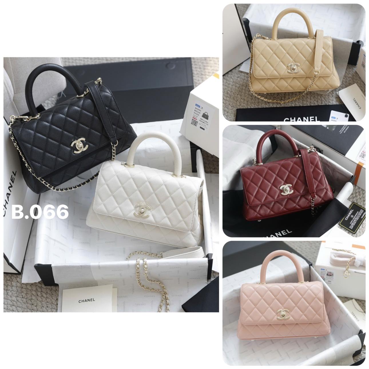 [🆕🇻🇳] Shi Shop – Chuyên Si Tuyển 👕 Top1Fashion 👗   , shares-17✔️ , likes-55❤️️ , date-2025-12-29 19:02:23🇻🇳🇻🇳🇻🇳📰🆕