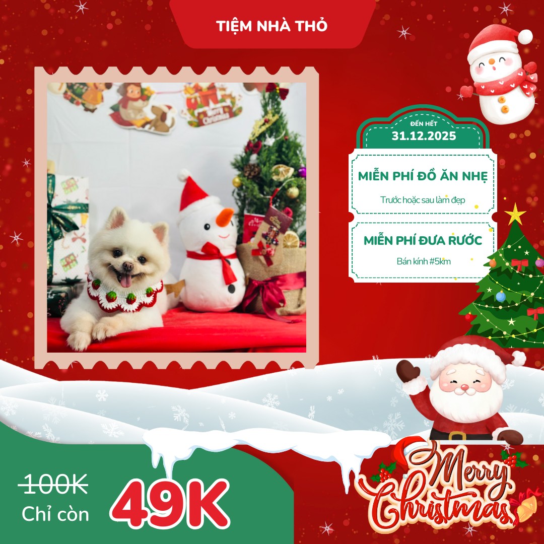 [🆕🇻🇳] Tiệm Nhà Thỏ – Hotel Spa Grooming 🐶🦜 Top1Pets 🐱🐠  BA MẸ ƠI, GIÁNG SINH NÀY BOSS NHÀ MÌNH ĐÃ SẴN SÀNG “LỘT XÁC” TỎA SÁNG CHƯA NÈ? 

 Ba mẹ lưu ý: Chỉ còn vài ngày cuối cùng thôi, ưu đãi Noel siêu HOT tại T , shares-1✔️ , likes-4❤️️ , date-2025-12-25 22:36:04🐶🐱🇻🇳🇻🇳🇻🇳📰🆕