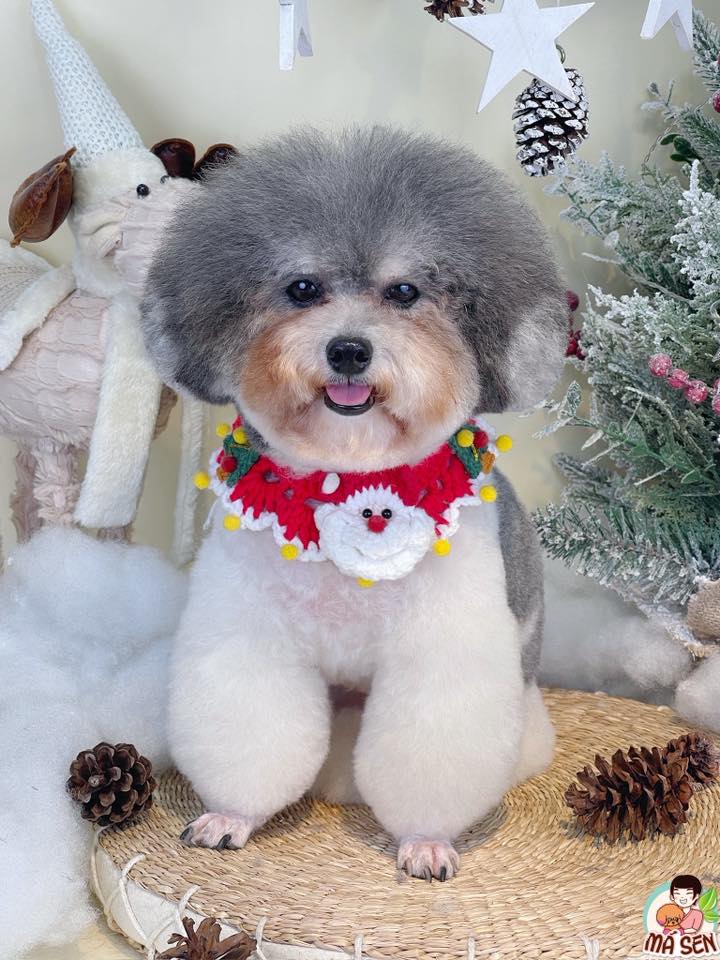 [🆕🇻🇳] LiefShop VNXK – Chuyên thời trang nữ VNXK GIÁ RẺ 👕 Top1Fashion 👗  LiefShop VNXK đã thêm ảnh vào album: SALE TẤT CẢ SHOP 50K
 , shares-0✔️ , likes-0❤️️ , date-2024-12-19 00:14:57🇻🇳🇻🇳🇻🇳📰🆕