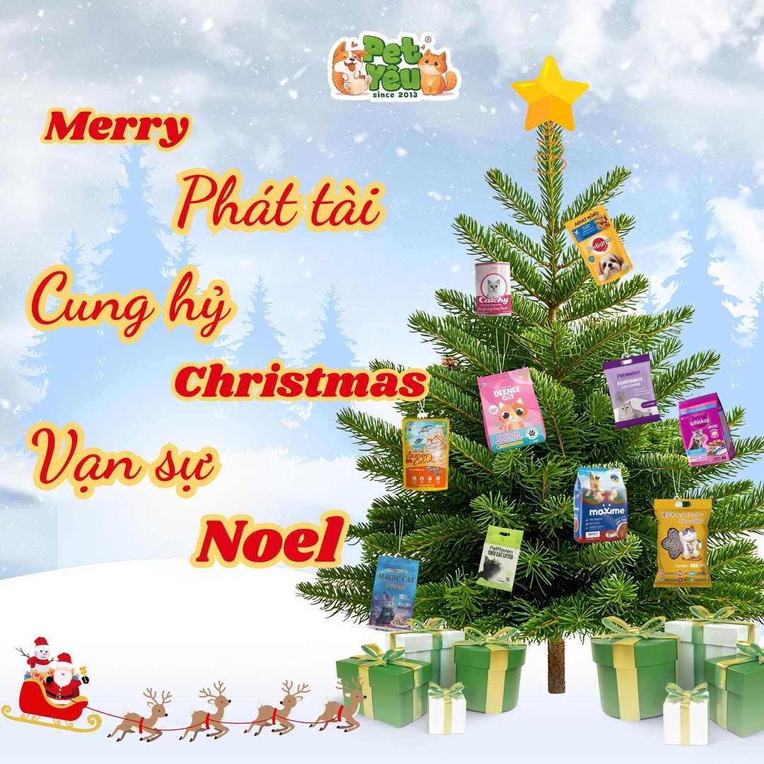 [🆕🇻🇳] Đậu Đậu Store – Shop quần áo trẻ em 🧑‍🧒❤️️👶⭐️ Set quần cotton luôn là chân ái . #39k/1c thuiiii

set #5c mặc đủ tuần đi học,mềm nhẹ cạp ôm
size:100(9-11kg) 110(11-13kg) 120(13-16kg)
130(17-20kg) 140(20 , shares-1✔️ , likes-2❤️️ , date-2025-12-24 20:50:51🇻🇳🇻🇳🇻🇳📰🆕