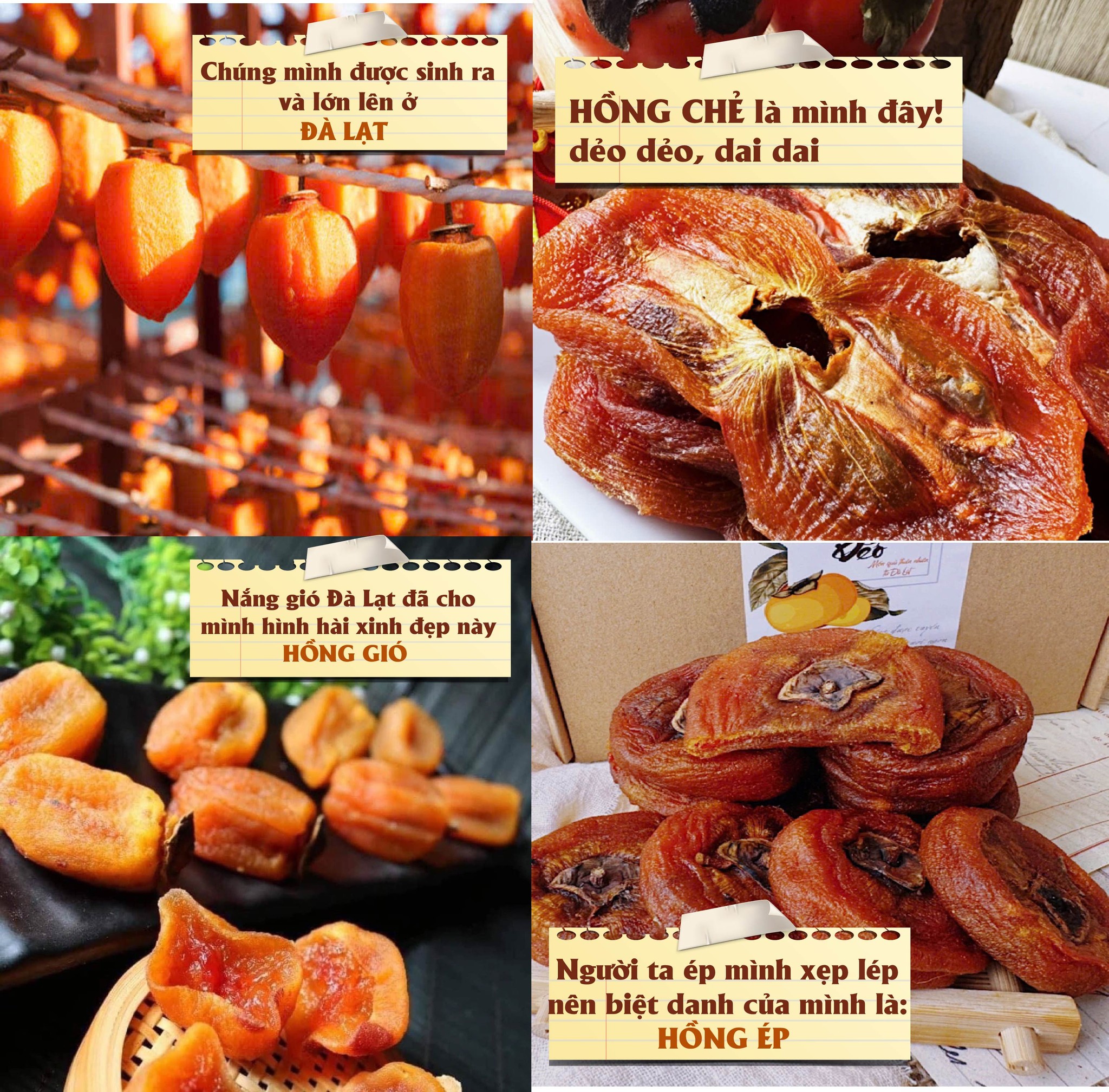 [🆕🇻🇳] Đặc sản Đà Lạt Mẹ Làm – Con Bán – Sạch 🍔 Top1Food  🍜   NGHE XUÂN SANG THẤY TRONG LÒNG MÌNH CHỨA CHAN.
TẾT MÀ..chỉ cần ấm trà nóng và dĩa bánh mứt là tự nhiên cả nhà ngồi lại lâu hơn 
  Có những món quà không  , shares-0✔️ , likes-2❤️️ , date-2025-12-30 20:50:06🇻🇳🇻🇳🇻🇳📰🆕