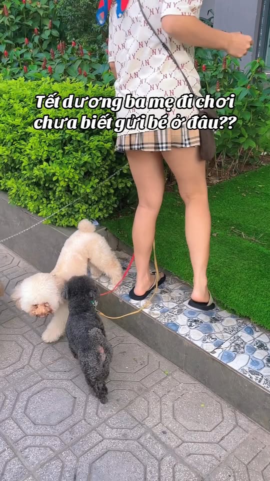 [🆕🇻🇳] Shop Mẹ Ku Bi  – chuyên sỉ, lẻ thời trang mẹ và bé, uy tín, chất lượng, giá cả hợp lý 🧑‍🧒❤️️👶⭐️ Quần jean hộp toàn hàng qc sẵn tại shop mua sớm k là hết size các mẹ ơi
 , shares-0✔️ , likes-1❤️️ , date-2025-12-24 18:47:53🇻🇳🇻🇳🇻🇳📰🆕