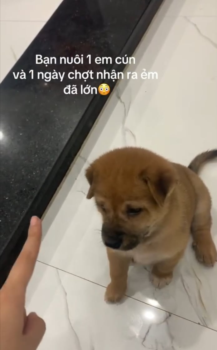 [🆕🇻🇳] NPP Đồ Ngủ Bạc Liêu – Ngọt Store 👕 Top1Fashion 👗   MẪU GẤM HAI DA – TAY PHỐI GẤM SANG TRỌNG 
Chất gấm 2 da dày dặn, tay phối gấm tinh tế – mặc đi lễ/đi chùa cực thanh lịch & nổi bật 

 Đủ size
Form chuẩn – , shares-0✔️ , likes-0❤️️ , date-2025-12-30 04:34:53🇻🇳🇻🇳🇻🇳📰🆕