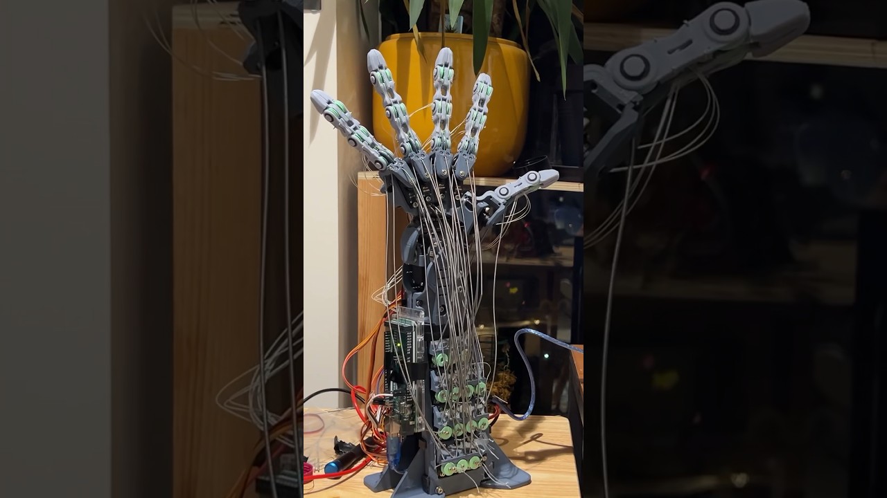 Hoa Hậu Hương Giang & Saabirose Xuất Hiện Bùng Nổ Tại THE HNOISE 2025! [🆕🇻🇳] cali.vn