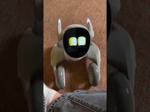 PLAYING WITH MY PET ROBOT