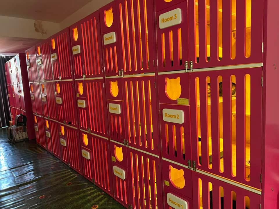 [🆕🇻🇳] Paramax 🛰🚀 Top1Tech 🤖💻 SUB-A40 MkII & SUB-A30 MkII: CHẤT PRO BUNG TỎA
Thuộc dòng loa siêu trầm điện của PARAMAX PROFESSIONAL, SUB-A40 MkII & SUB-A30 MkII được thiết kế để mang đế , shares-0✔️ , likes-19❤️️ , date-2026-01-11 19:04:21🇻🇳🇻🇳🇻🇳📰🆕