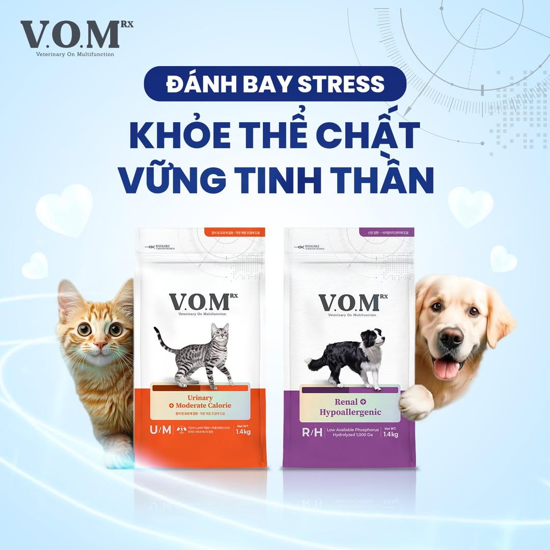 [🆕🇻🇳] KIKI PET 🐶🦜 Top1Pets 🐱🐠 Da trắng , mặt xinh , chung tình dễ bảo..:)))
 , shares-0✔️ , likes-5❤️️ , date-2025-10-25 18:37:57🐶🐱🇻🇳🇻🇳🇻🇳📰🆕