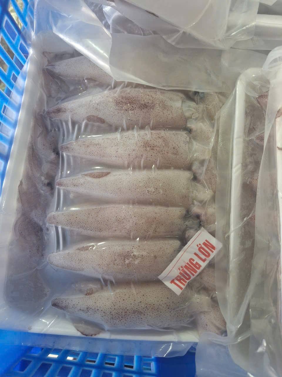 [🆕🇻🇳] Chả Cá Thác Lát Tươi – Chuyên cung cấp sỉ & lẻ chả cá và các mặt hàng tươi chất chất lượng 100% 🍔 Top1Food  🍜 Mực trứng tươi 180k/ký 
Ib 0932614512
 , shares-1✔️ , likes-1❤️️ , date-2025-10-16 23:00:27🇻🇳🇻🇳🇻🇳📰🆕