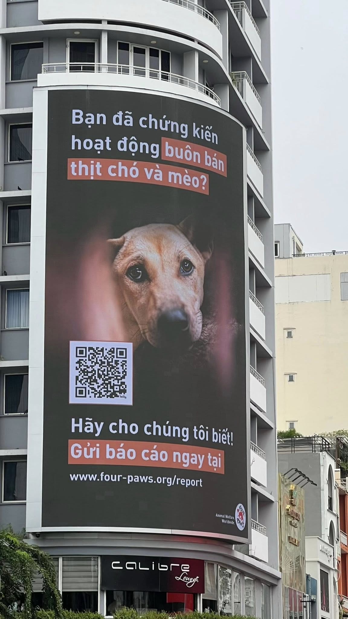 [🆕🇻🇳] Nhà trọ Mèo 3T – Chuyên dịch vụ lưu trú mèo 🐶🦜 Top1Pets 🐱🐠 PHỐ ĐI BỘ NGUYỄN HUỆ NGAY LÚC NÀY 

Bạn có thể gửi báo cáo cho FOUR PAWS khi chứng kiến các hoạt động trộm cắp, vận chuyển, tiêu thụ thịt chó mèo bằng cách , shares-0✔️ , likes-9❤️️ , date-2025-10-27 00:58:53🐶🐱🇻🇳🇻🇳🇻🇳📰🆕