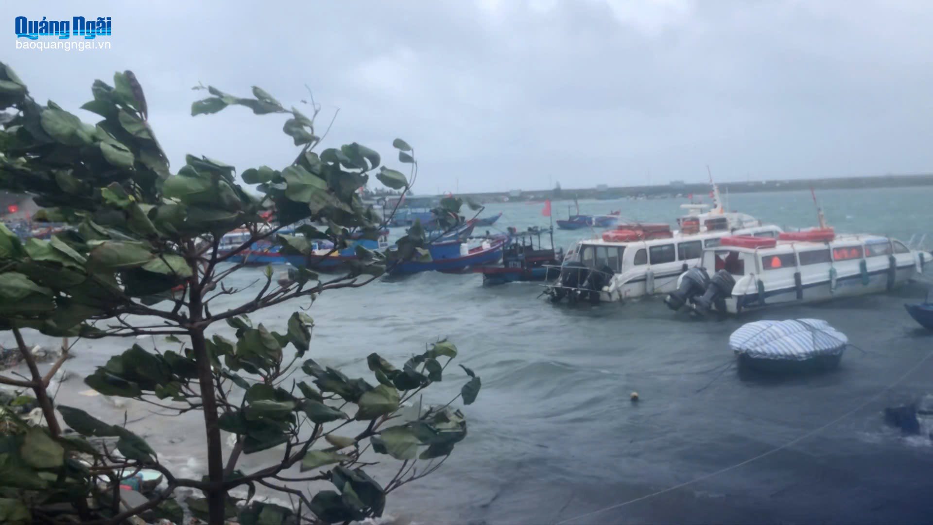 [🆕🇻🇳] BẾP CÔ LUYẾN – Đặc Sản Quảng Ngãi 🍔 Top1Food  🍜 Đơn Hàng Anh Chị Đặt Từ Thứ 3,4,5  Nhà Em Xin Phép Hàng Sẽ Gởi chậm Vài ngày. 
Vì Bão Đợt Này Ảnh Hưởng Trực tiếp nên Không Làm Hàng Và gởi hàng đi được ạ  , shares-0✔️ , likes-7❤️️ , date-2025-11-06 22:42:12🇻🇳🇻🇳🇻🇳📰🆕