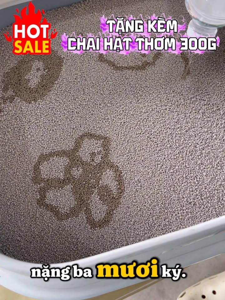 [🆕🇻🇳] MIN – Order US – chuyên nhận order các mặt hàng từ Mỹ, đặc biệt mỹ phẩm và quần áo 🧑‍🧒❤️️👶⭐️ HIẾM LẮM mới thấy các set pjs bé lớn sale giá này. Các mẹ đang tìm mua pjs cho các bé từ 4-14 tuổi tham khảo nhé.
Set 2 bộ pjs hiện đang sale còn #460k + s , shares-0✔️ , likes-1❤️️ , date-2025-11-28 16:44:21🇻🇳🇻🇳🇻🇳📰🆕