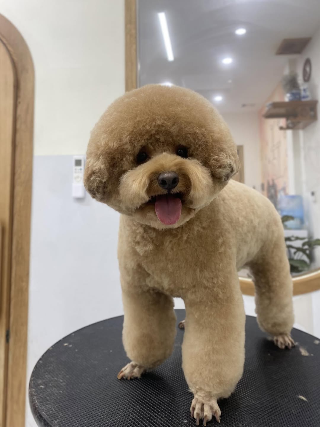 [🆕🇻🇳] FuU Pet – Spa & Hotel Thú Cưng  🐶🦜 Top1Pets 🐱🐠 “Sen nào ế quá thì tuyển gấp một ẻm trước đi ha mùa đông rồi đấy” 
 , shares-0✔️ , likes-1❤️️ , date-2025-11-22 01:24:47🐶🐱🇻🇳🇻🇳🇻🇳📰🆕