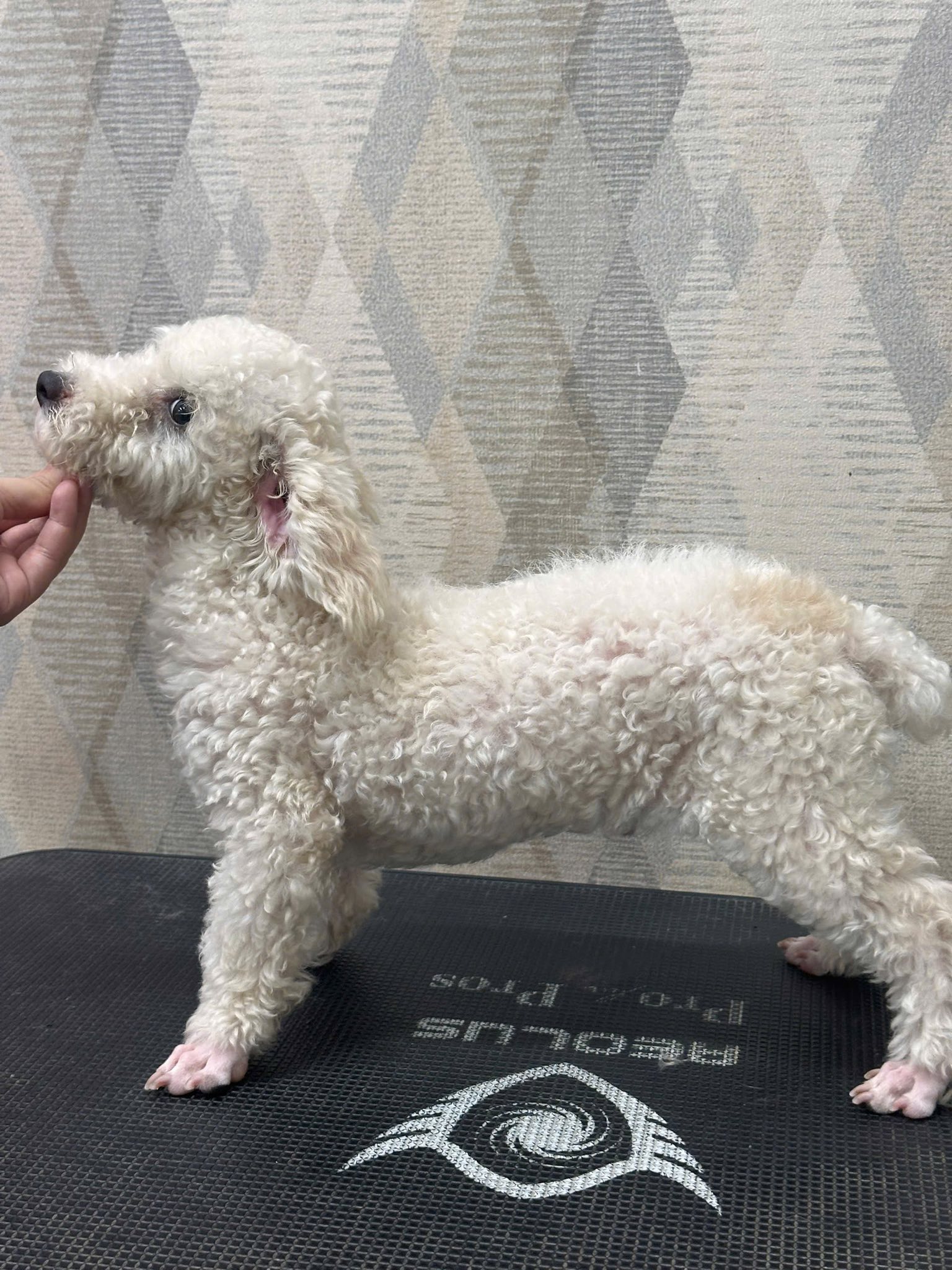 [🆕🇻🇳] Bán buôn quần áo trẻ em xuất xịn – Lee Bee Store 🧑‍🧒❤️️👶⭐️ Mẫu này đã onweb nha shop!
Sỉ tại Zalo 0982.338.253
 , shares-0✔️ , likes-1❤️️ , date-2025-11-14 20:39:33🇻🇳🇻🇳🇻🇳📰🆕