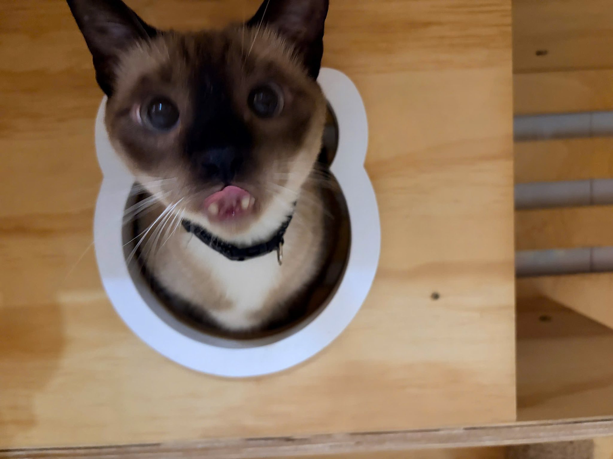 [🆕🇻🇳] Shop TOM BABY  Chuyên Bỉm,Thời trang cho bé,các loại Bánh kẹo, Kem, Thực phâm dinh dưỡng 🧑‍🧒❤️️👶⭐️ 𝐌𝐢𝐞̂́𝐧𝐠 𝐝𝐚́𝐧 𝐡𝐚̣ 𝐬𝐨̂́𝐭 𝐏𝐞𝐠𝐢𝐨𝐧
Cho bé từ sơ sinh 
𝗕𝗮̉𝗼 𝗯𝗼̂́𝗶 𝗸𝗵𝗼̂𝗻𝗴 𝘁𝗵𝗲̂̉ 𝘁𝗵𝗶𝗲̂́𝘂 𝘁𝗿𝗼𝗻𝗴 𝗻𝗵𝗮̀ 𝗰𝘂̉𝗮 𝗰𝗮́𝗰 𝗺𝗲̣ 𝗰𝗼́ 𝗰𝗼𝗻 𝗻𝗵𝗼̉ 
 𝗠𝗶𝗲̂́𝗻𝗴 𝗱𝗮́𝗻 𝗵𝗮̣ 𝘀𝗼̂́𝘁 𝗣𝗶𝗴𝗲𝗼𝗻 𝗴𝗶𝘂́ , shares-1✔️ , likes-0❤️️ , date-2026-01-13 18:00:02🇻🇳🇻🇳🇻🇳📰🆕