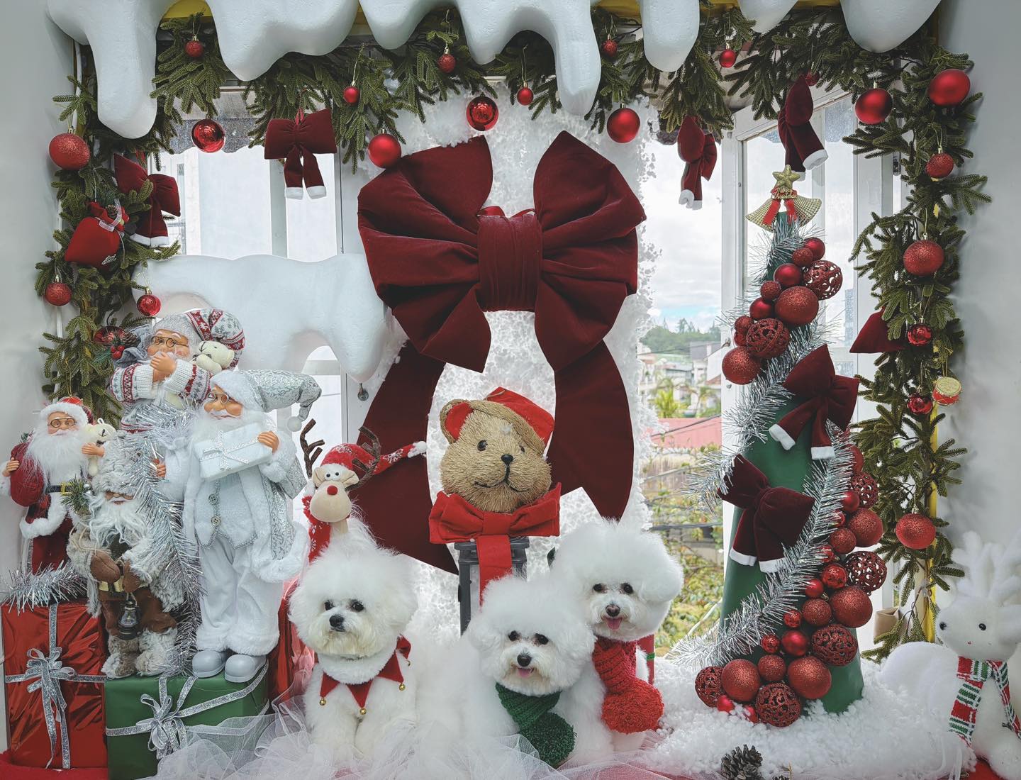 [🆕🇻🇳] MiMi Pet Spa Đà Lạt 🐶🦜 Top1Pets 🐱🐠 “Merry Christmas, bạn yêu quý! Hãy cùng nhau tạo nên những kỷ niệm không thể quên trong mùa lễ này nhé!”

                       MiMiPetSpa Đà Lạt
 Địa chỉ , shares-0✔️ , likes-3❤️️ , date-2025-12-01 19:35:11🐶🐱🇻🇳🇻🇳🇻🇳📰🆕