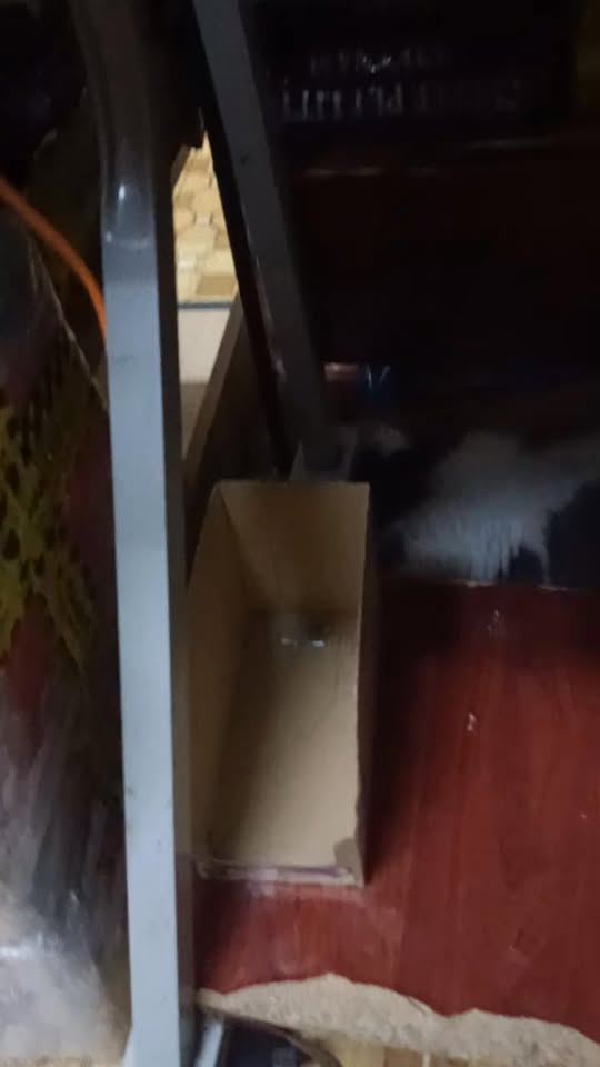 [🆕🇻🇳] Anna&Eve Việt Nam – thương hiệu khăn quấn cho bé đến từ Mỹ với thiết kế hiện đại và thông minh 🧑‍🧒❤️️👶⭐️  DÀNH CHO NHỮNG “SIÊU NHÂN NHÍ” CHUYÊN PHÁ CHŨN – KHI KHÓA KÉO & KHĂN VẢI CŨNG ĐẦU HÀNG

Mẹ có từng rơi vào cảnh này chưa:
 Mua đủ loại nhộng chũn tiền tri , shares-0✔️ , likes-3❤️️ , date-2025-12-13 02:00:15🇻🇳🇻🇳🇻🇳📰🆕