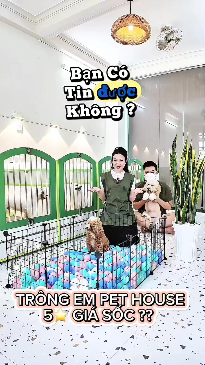 [🆕🇻🇳] Bệnh Viện Thú Y TH Vet Hospital 🐶🦜 Top1Pets 🐱🐠 Bệnh viện vẫn làm việc bình thường và không tăng giá bất kì dịch vụ nào. 
Cảm ơn toàn thể khách hàng đã ủng hộ. 
Và xin kính chúc quý vị một năm mới đạt nh , shares-0✔️ , likes-0❤️️ , date-2025-12-29 22:46:37🐶🐱🇻🇳🇻🇳🇻🇳📰🆕