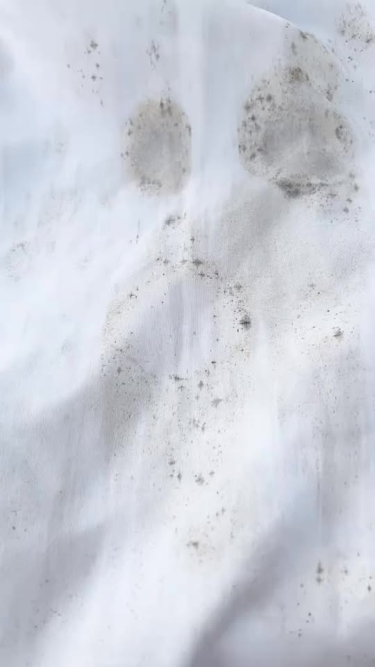 [🆕🇻🇳] Lê Hồng – Tốt nghiệp tại Học viện Yoga Việt Nam 🧘 Top1Yoga 🤸🏻‍♀️ E đã dùng và khẳng định mốc nó sạch thật nhé các bác. Bác nào muốn mua thì đặt ở đây nha  .E chỉ giới thiệu một lần duy nhất trên trang cá nhân thui nha uy , shares-0✔️ , likes-12❤️️ , date-2025-12-19 16:59:20🇻🇳🇻🇳🇻🇳📰🆕