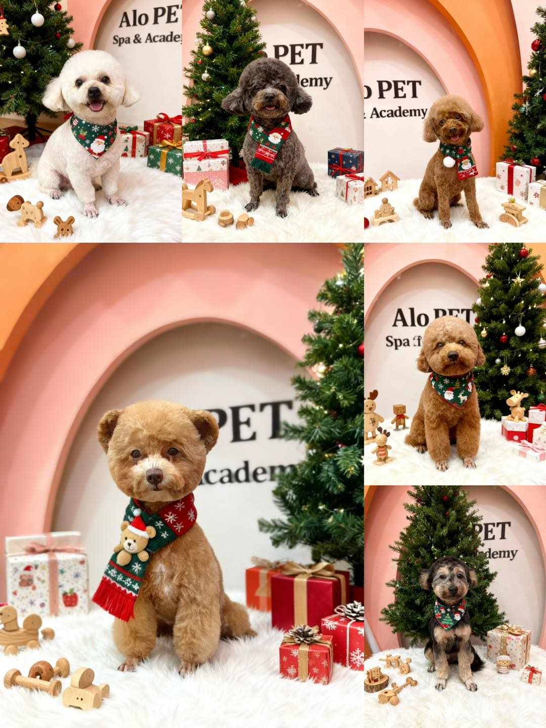 [🆕🇻🇳] LaPaw – sản phẩm chăm sóc thú cưng hàng đầu Việt Nam 🐶🦜 Top1Pets 🐱🐠 Đi đổi quà của LaPaw liền đi mấy Sen ơi, đợt này mở rộng, áp dụng cho HCM, Long An, Vĩnh Long, Đà Lạt, Nha Trang, Đà Nẵng lun nàaaa

#LaPaw #MakeThemWag #D , shares-0✔️ , likes-5❤️️ , date-2025-12-23 16:58:51🐶🐱🇻🇳🇻🇳🇻🇳📰🆕