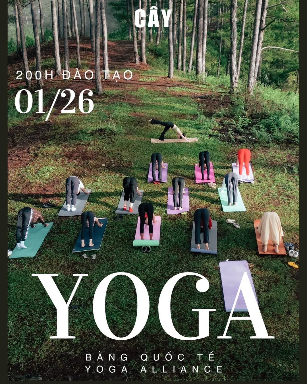 [???] CÂY – Yoga and Healing home  ? Top1Yoga ??‍♀️ TUYỂN SINH KHOÁ ĐÀO TẠO YOGA & HEALING 2026
𝑲𝙝𝒊 𝒀𝙤𝒈𝙖 𝙩𝒉𝙖̀𝒏𝙝 𝙥𝒉𝙪̛𝒐̛𝙣𝒈 𝒑𝙝𝒂́𝙥 𝘾𝒉𝙪̛̃𝒂 𝒍𝙖̀𝒏𝙝 𝙠𝒉𝙤𝒂 𝒉𝙤̣𝒄
Đó là khi Yoga không chỉ là 1 bài tập trên thảm mà là cả  , shares-5✔️ , likes-35❤️️ , date-2025-12-21 22:56:59????????