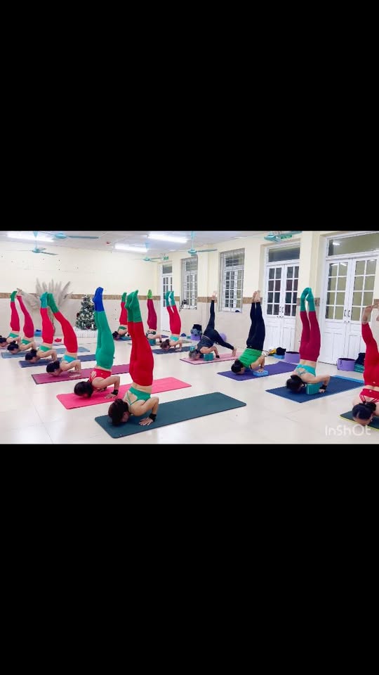 [🆕🇻🇳] Học Yoga Online cùng Nguyễn Hiếu 🧘 Top1Yoga 🤸🏻‍♀️ Gửi video này cho bố mẹ và những người bạn yêu thương. Nhìn thấy tận mắt sự nguy hiểm này, bạn sẽ muốn bỏ lối sống hại sức khỏe ngay lập tức.
 #suckhoe #ca , shares-0✔️ , likes-2❤️️ , date-2025-12-19 04:00:26🇻🇳🇻🇳🇻🇳📰🆕