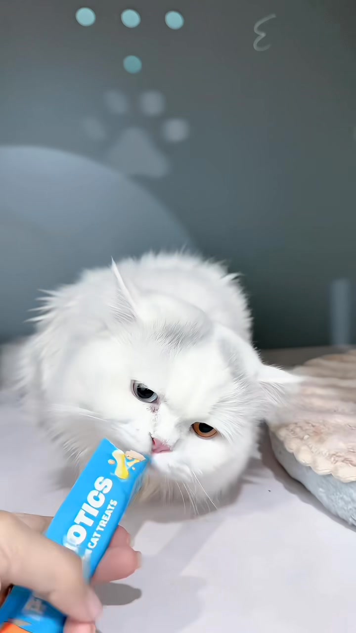 [🆕🇻🇳] Bệnh viện thú y PetHealth Hoàng Mai 🐶🦜 Top1Pets 🐱🐠  Nhỏ gáy CHỈ 19K, đảm bảo:

 Boss không đau
 Không hoảng loạn
 Hiệu quả lâu dài

 Ưu đãi có hạn chỉ từ nay đến hết 31/12/2025

 ĐĂNG KÝ NGAY ĐỂ GIỮ SUẤT NH , shares-0✔️ , likes-4❤️️ , date-2025-12-25 04:00:02🐶🐱🇻🇳🇻🇳🇻🇳📰🆕