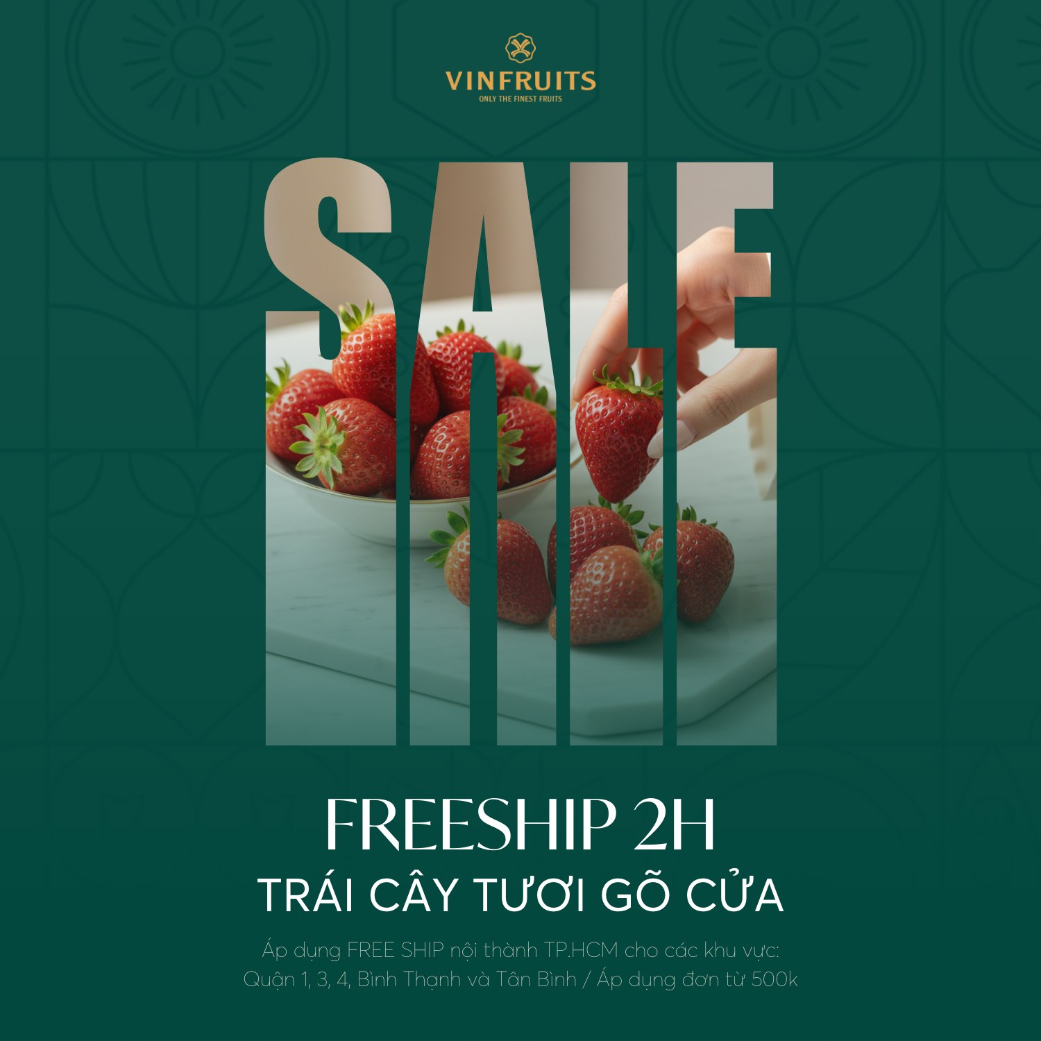 [🆕🇻🇳] VinFruits – Trái Cây Hạng Nhất [🆕Top1Vietnam🇻🇳] 🍔 Top1Food  🍜  MIỄN PHÍ GIAO HÀNG NỘI THÀNH TP.HCM
Giữa nhịp sống bận rộn, một giỏ trái cây tươi ngon giao đúng hẹn là cách hoàn hảo để chăm sóc gia đình hay gửi gắm lời , shares-1✔️ , likes-2❤️️ , date-2025-12-27 15:00:05🇻🇳🇻🇳🇻🇳📰🆕