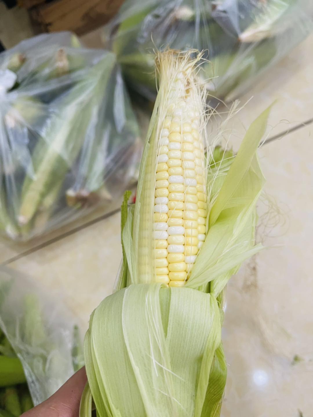 [🆕🇻🇳] Món Ngon Đặc Sản Việt Nam-Các món Bánh Quê dân gian ,truyền thống 🍔 Top1Food  🍜 Tiệm mới lên đến – Bắp tươi roi rói
Bắp này là bắp nếp nên dẻo nha.
” Bắp Nếp Thái Hoàng Kim Mini”
Đây là loại bắp mini giống nhập từ Thái Lan luôn nha. 
B , shares-0✔️ , likes-1❤️️ , date-2025-12-31 21:23:18🇻🇳🇻🇳🇻🇳📰🆕