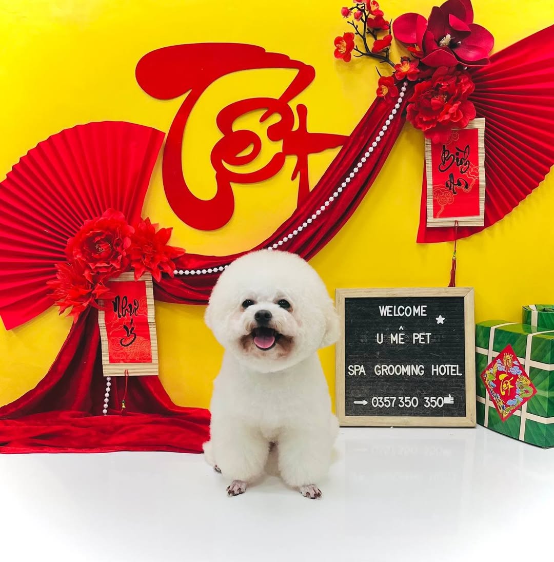 [🆕🇻🇳] U Mê Pet Shop – Dịch Vụ SPA & HOTEL Cao Cấp Quận 11 🐶🦜 Top1Pets 🐱🐠 Tết Tết Tết đến rồi  Ba Mẹ đã có hình Tết cho bé chưa 

#Shop xin phép thông báo nghĩ lễ tết Tây Ngày 31/12 và 1/1 ( Thứ 4 và Thứ 5 Tuần này ). Thứ 3 ngày  , shares-0✔️ , likes-5❤️️ , date-2025-12-30 03:09:45🐶🐱🇻🇳🇻🇳🇻🇳📰🆕