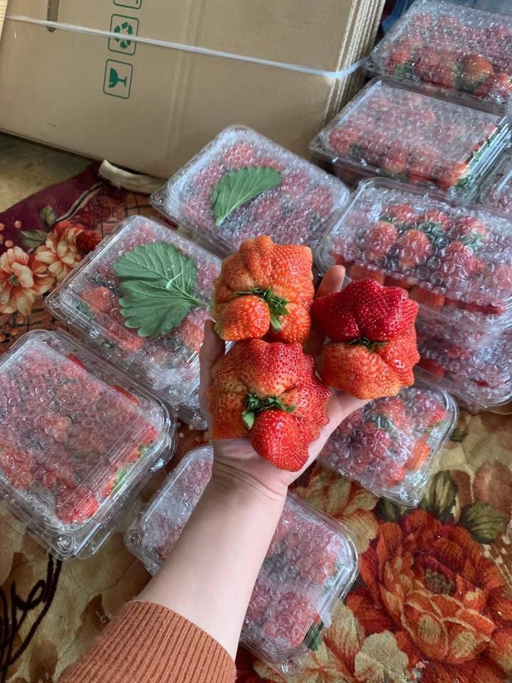 [🆕🇻🇳] Sapo – Nền tảng quản lý và bán hàng đa kênh đươc sử dụng nhiều nhất Việt Nam ♥️️ Top1Index 📚  Sapo gửi tặng tới tất cả nhà bán hàng đang kinh doanh Online trên sàn TMĐT, MXH 
Trọn bộ giải pháp: Quản lý bán hàng – Xuất hóa đơn điện tử – Kê khai thuế  , shares-0✔️ , likes-3❤️️ , date-2025-12-31 21:01:01🇻🇳🇻🇳🇻🇳📰🆕