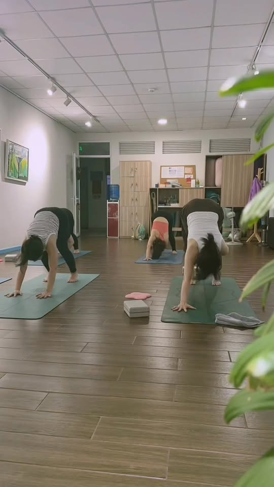 [🆕🇻🇳] AQUA YOGA – Phòng tập yoga 🧘 Top1Yoga 🤸🏻‍♀️ Mỗi người chúng ta đều có một nhịp sinh học riêng, nhưng ai cũng cần một khoảng thời gian trong ngày để thực sự dừng lại, vận động và hít thở. 

​Bạn chọn  , shares-0✔️ , likes-9❤️️ , date-2026-01-03 22:45:33🇻🇳🇻🇳🇻🇳📰🆕