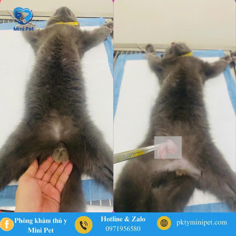 [🆕🇻🇳] Huyền My QC – Chuyên hàng thiết kế, hàng qccc, vnxk,…  👕 Top1Fashion 👗   , shares-7✔️ , likes-208❤️️ , date-2026-01-02 17:36:28🇻🇳🇻🇳🇻🇳📰🆕