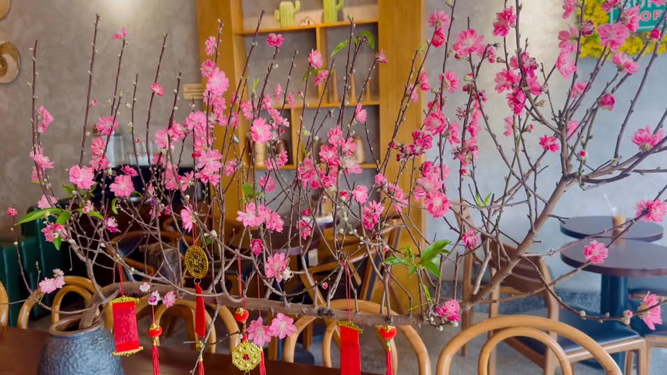 [☕️🇻🇳] Phen’s Coffee 🥤 Top1Coffee ☕️ Một buổi chiều chậm, một gia đình nhỏ, và rất nhiều yêu thương 


 Ghé Nhà Phen nha
——Phen’s Coffee – CÀ PHÊ MÁY BAY
142 Nguyễn  , shares-0✔️ , likes-3❤️️ , date-2026-01-06 00:00:35🇻🇳🇻🇳🇻🇳📰🆕