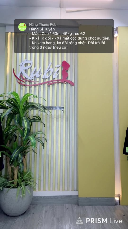 [🆕🇻🇳] Hàng Thùng Rubi – CHUYÊN SI NHẬT CAO CẤP TOP 1 THỊ TRƯỜNG 👕 Top1Fashion 👗  Mix nhung chất cực mịn – phối gì cũng sang�� , shares-0✔️ , likes-1❤️️ , date-2026-01-01 04:00:34🇻🇳🇻🇳🇻🇳📰🆕