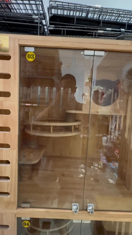 [🆕🇻🇳] Gạo Pet Shop 🐶🦜 Top1Pets 🐱🐠  , shares-0✔️ , likes-0❤️️ , date-2026-01-03 22:53:20🐶🐱🇻🇳🇻🇳🇻🇳📰🆕