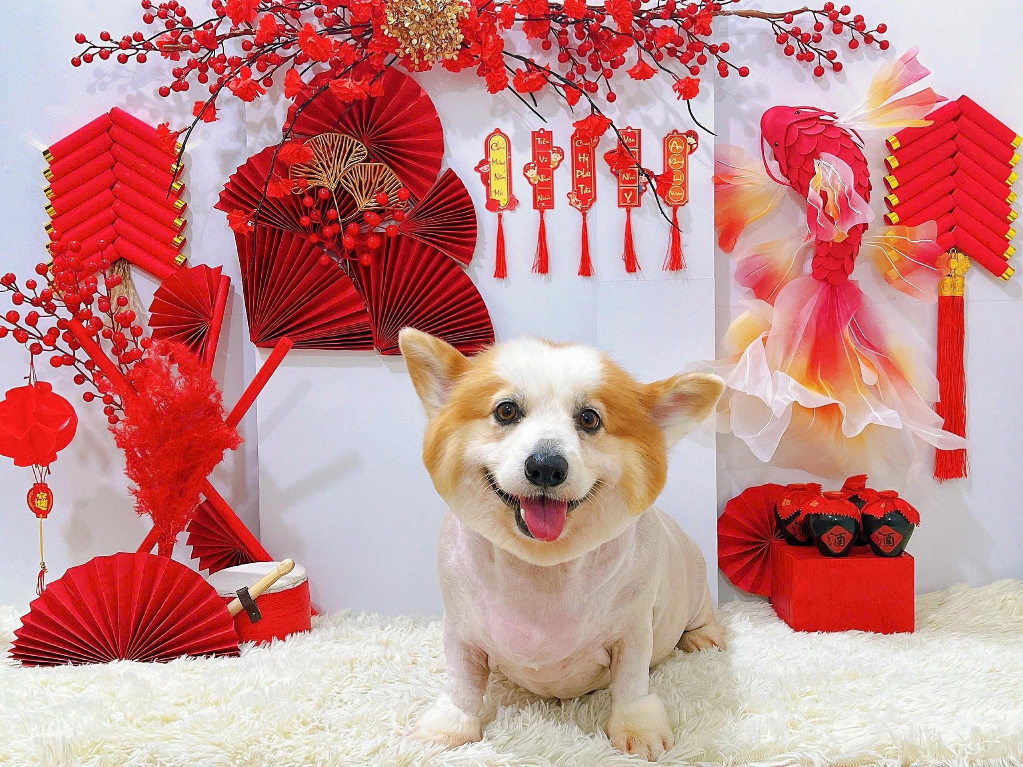 [🆕🇻🇳] D2shop – Mua sắm – bán lẻ 👕 Top1Fashion 👗  EFFORTLESS TAILORING – Quần Kaki Xếp Ly A-JN350
• Định nghĩa lại sự thanh lịch với thiết kế Xếp Ly (Pleated) cổ điển kết hợp cùng Lưng Chun Sau hiện đại. V , shares-1✔️ , likes-1❤️️ , date-2026-01-06 03:36:01🇻🇳🇻🇳🇻🇳📰🆕