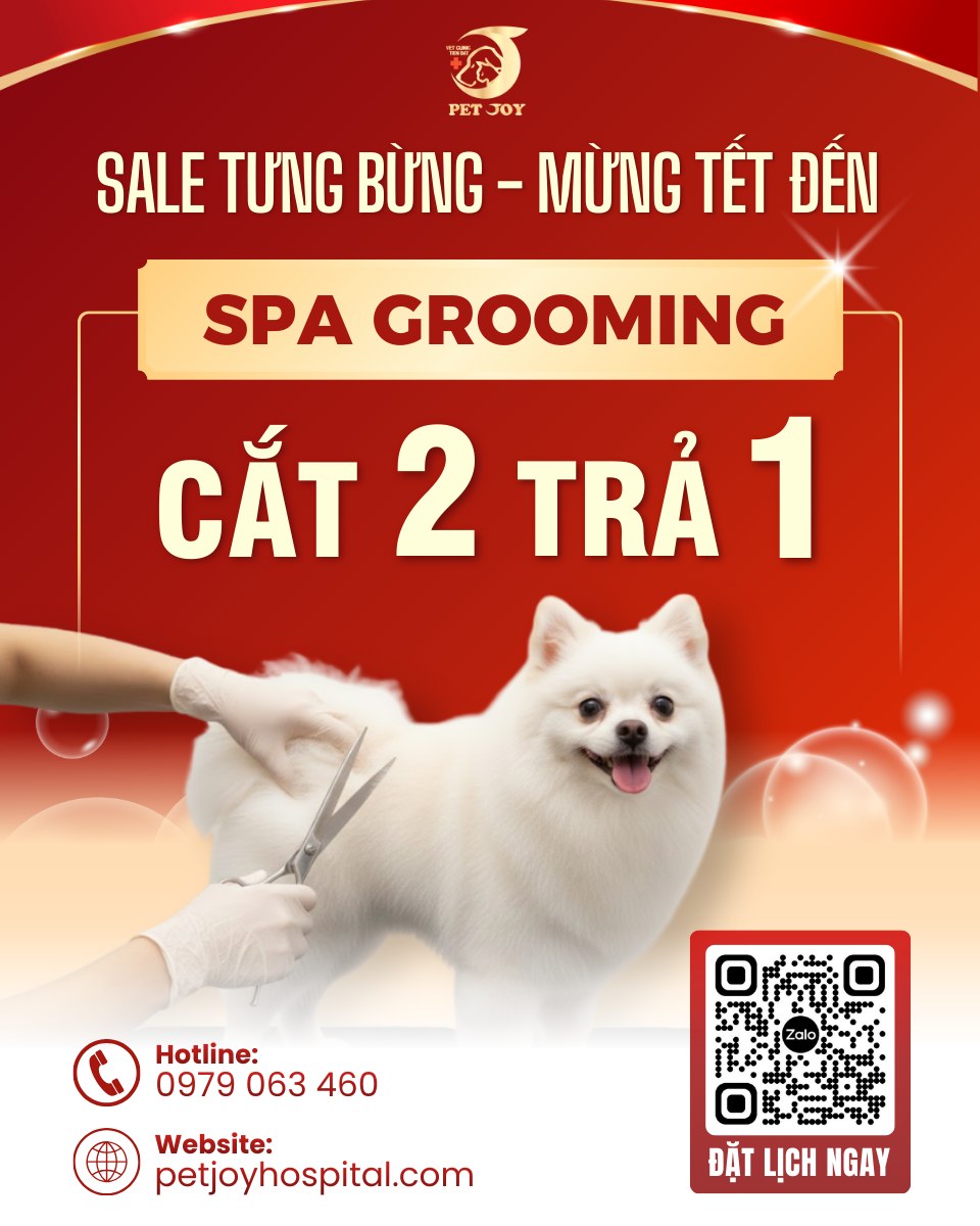 [🆕🇻🇳] Cường Vest – 273 Phố Huế 👕 Top1Fashion 👗  Alberto trân trọng giới thiệu bộ sưu tập giày da Ý cao cấp 2026 gồm 13 mẫu thiết kế độc đáo, được chế tác tinh xảo từ da thật nhập khẩu từ Ý. Mỗi đôi giày  , shares-0✔️ , likes-0❤️️ , date-2026-01-08 22:06:28🇻🇳🇻🇳🇻🇳📰🆕