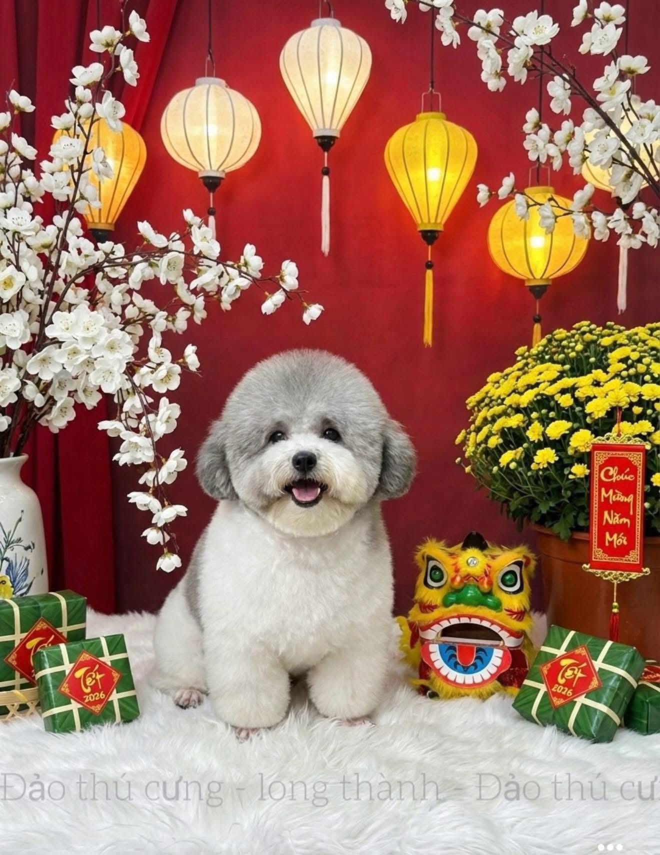 [🆕🇻🇳] Góc con gái ♥️️ Top1Life 🌱  Xinhhh chưaaaa zậyyyy 
Áo xinh : 
 , shares-0✔️ , likes-2❤️️ , date-2026-01-06 02:55:55🇻🇳🇻🇳🇻🇳📰🆕