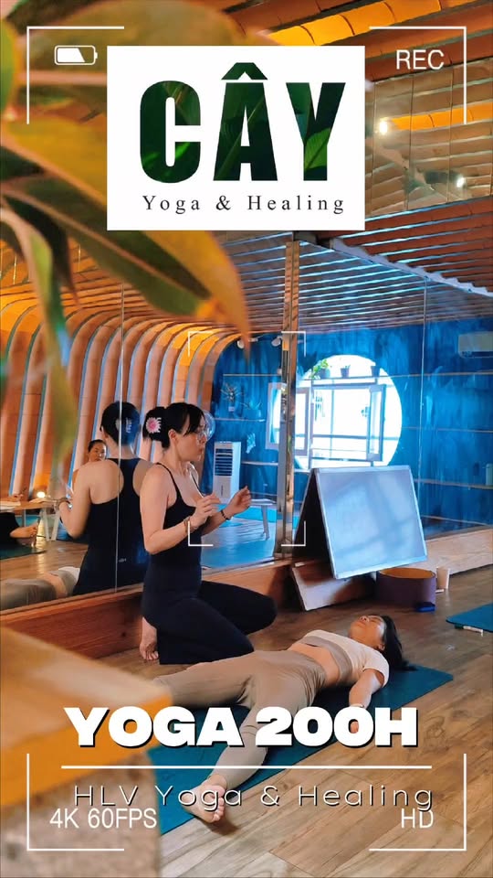 [🆕🇻🇳] Yoga Sức Khỏe Vàng – Golden Health 🧘 Top1Yoga 🤸🏻‍♀️ THAY ĐỔI CÁCH SỐNG VỚI YOGA. 


 , shares-0✔️ , likes-1❤️️ , date-2026-01-09 20:39:26🇻🇳🇻🇳🇻🇳📰🆕