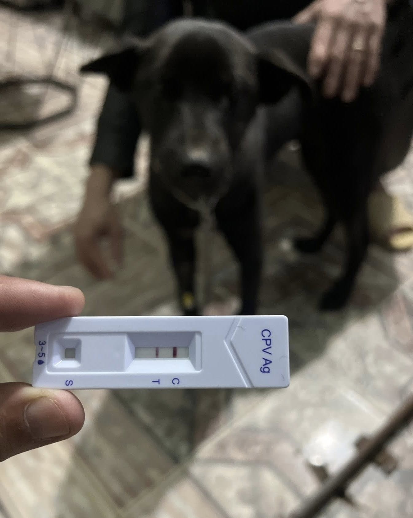 [🆕🇻🇳] Royal Fashion – Thời Trang Trẻ Em Cao Cấp 🧑‍🧒❤️️👶⭐️ 𝐒𝐄𝐓 𝐒𝐎̛ 𝐌𝐈 𝟑 𝐂𝐇𝐈 𝐓𝐈𝐄̂́𝐓 𝐇𝐈𝐈̀𝐍𝐇 𝐗𝐄 Đ𝐀̣𝐏 𝐒𝐀𝐍𝐆 𝐂𝐇𝐀̉𝐍𝐇 𝐂𝐇𝐎 𝐁𝐄́ 𝐈𝐔        
——————————————        
Chất liệu áo vải thô Hàn cao cấp, thoáng khí, thấm hút hút m , shares-0✔️ , likes-1❤️️ , date-2026-01-05 16:33:11🇻🇳🇻🇳🇻🇳📰🆕